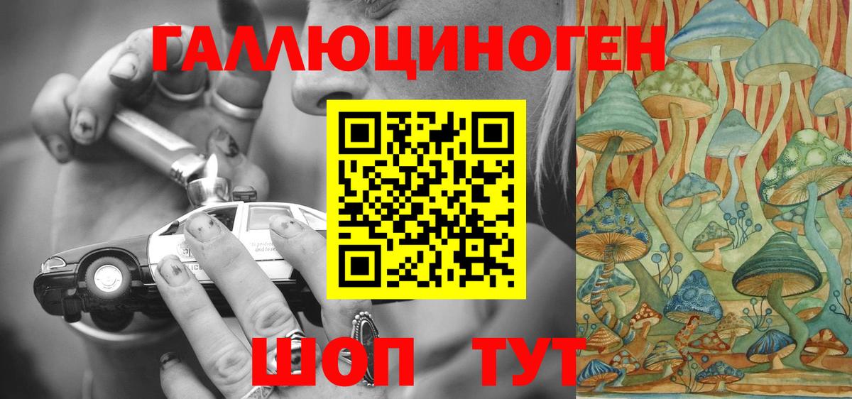 Галлюциногенные грибы Psilocybine cubensis Воронеж