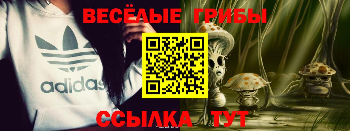 купить   Галлюциногенные грибы Magic Shrooms  Вход с VPN  Воронеж 